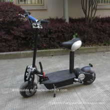 1000W RoHS Approval Evo Electric Scooter Et-Es16